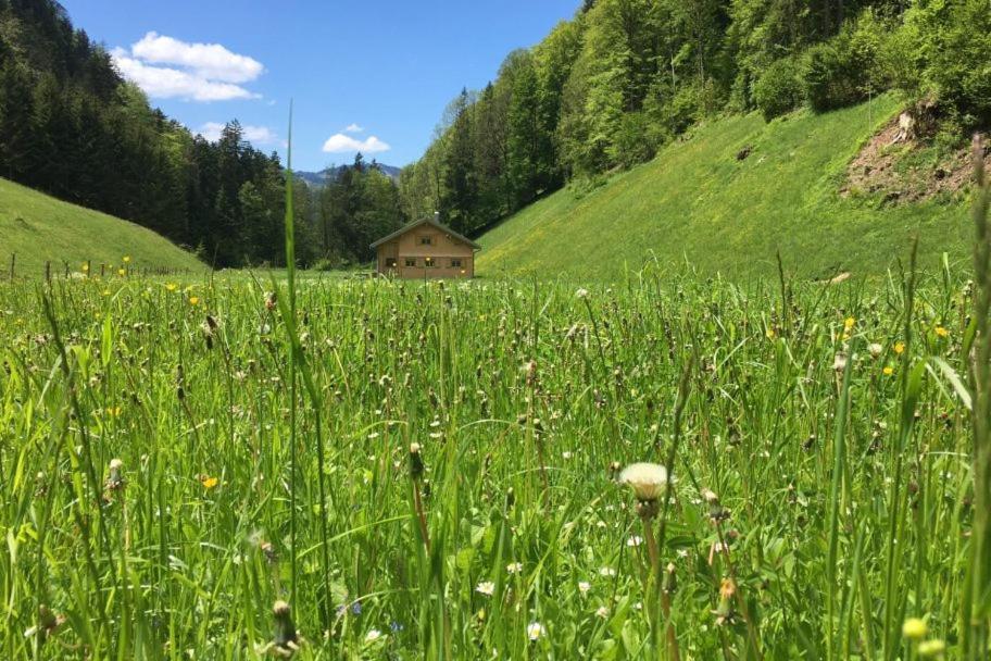 Ferienhaus Rimsgrund Villa Bezau Exterior foto